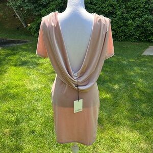 House of Lashes Velvet Dress w/ Cowl Neck Back